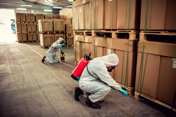 Best Wasp Removal Services  in Beesleys Point, NJ
