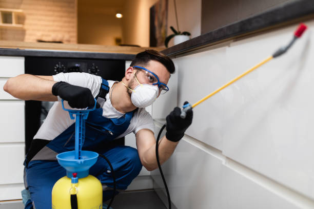 Best Best Pest Control Companies  in Beesleys Point, NJ