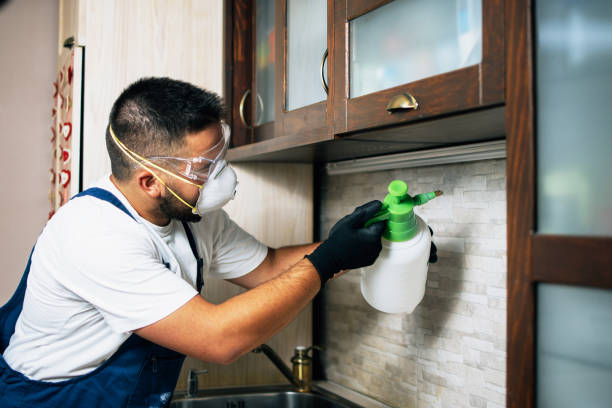 Best Best Pest Control Companies  in Beesleys Point, NJ