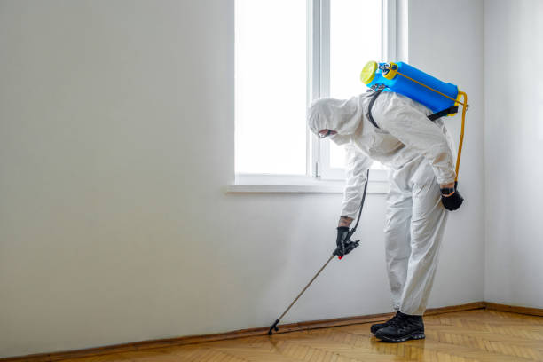 Best Flea Control Services  in Beesleys Point, NJ