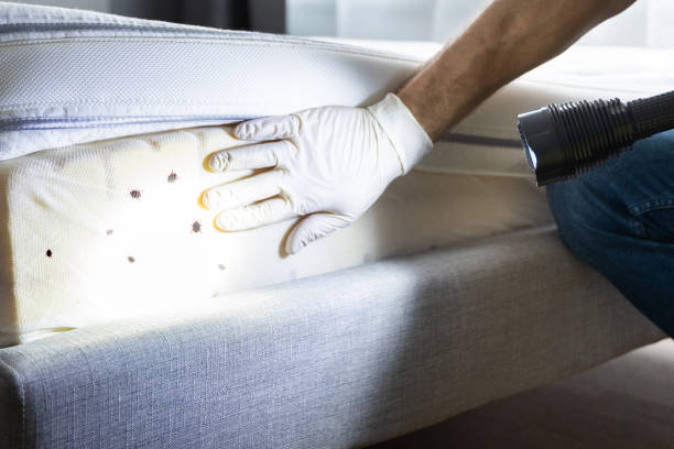 Best Exterminator Services  in Beesleys Point, NJ