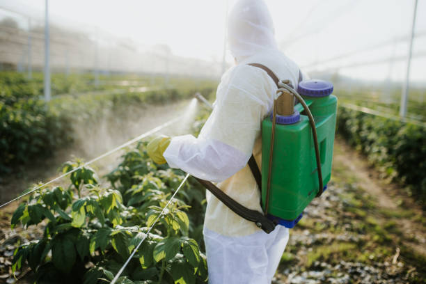 Best Termite Control Services  in Beesleys Point, NJ